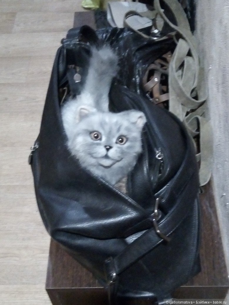 Это я его выгуливала.