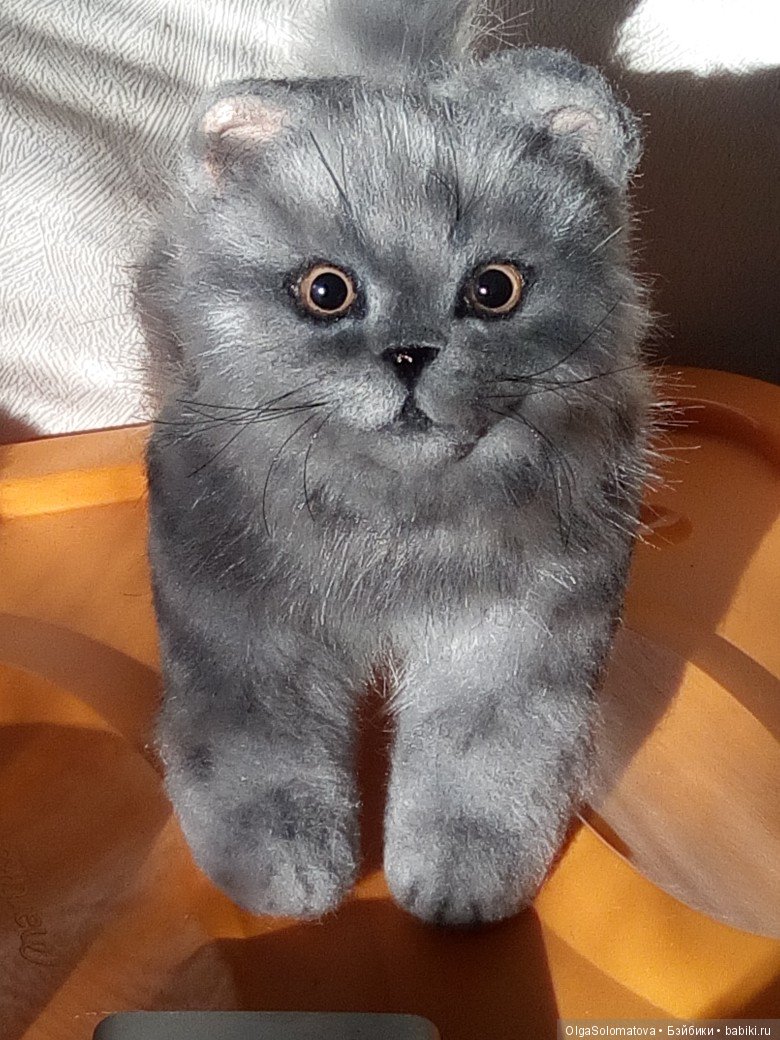 Котенок. Итог — Авторские мишки Тедди и друзья: фото (фото 2)