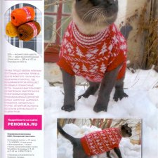 Свитер для большого кота