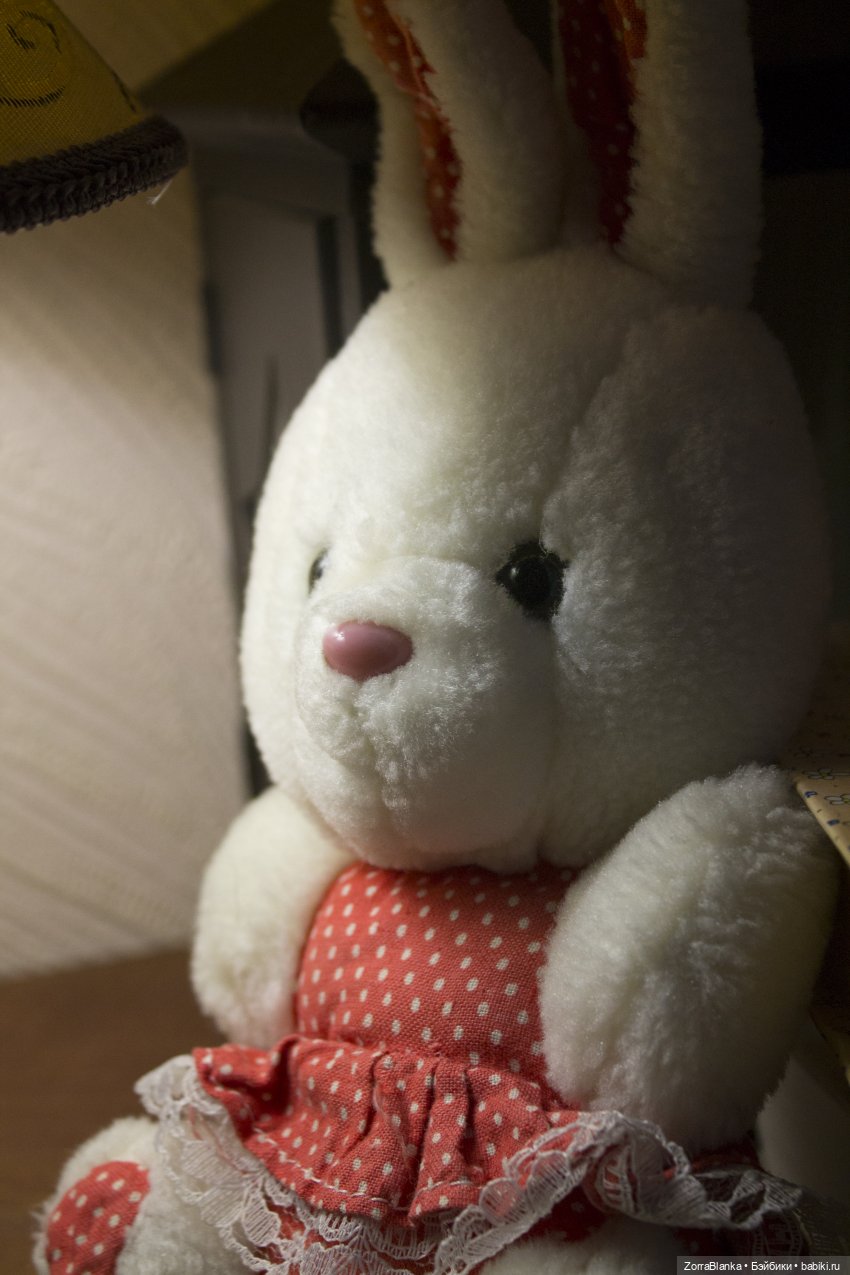 О том, как зайку не бросила хозяйка (фото 2)