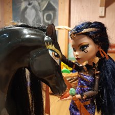 Купила мама коника