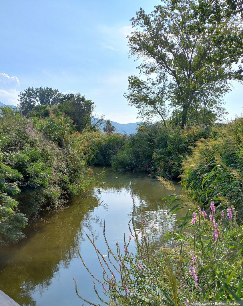 Сентябрь с Кнопкой — Куклы Baboliy (Баболи (фото 7)