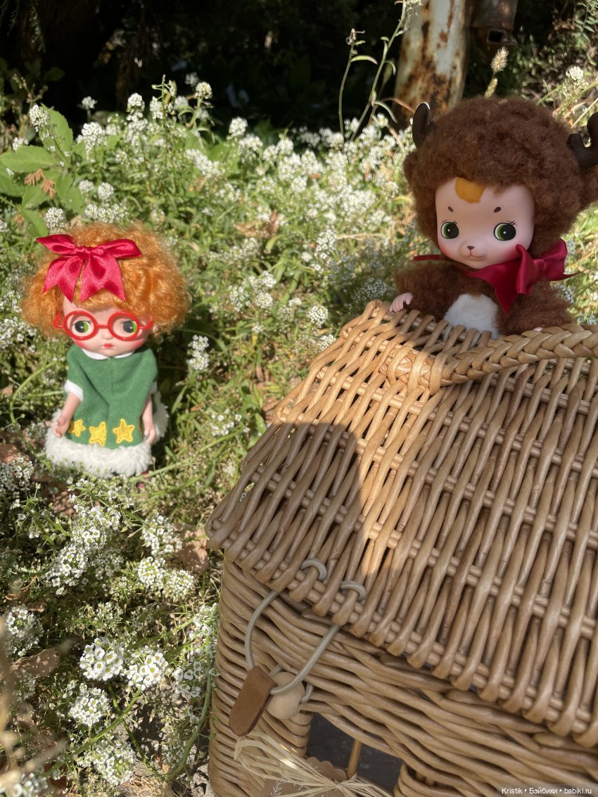 Куклы Holala (Холала) от Jenny Fairytown: Pipita