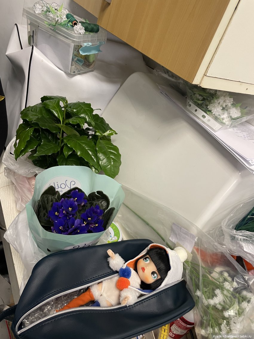 Донателла Amooooore — Куклы Holala (Холала) от Jenny Fairytown: Pipita