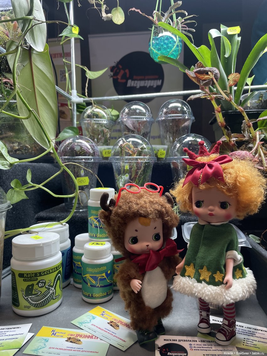 Люся на Рептилиуме — Куклы Holala (Холала) от Jenny Fairytown: Pipita (фото 5)