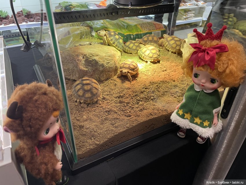 Люся на Рептилиуме — Куклы Holala (Холала) от Jenny Fairytown: Pipita