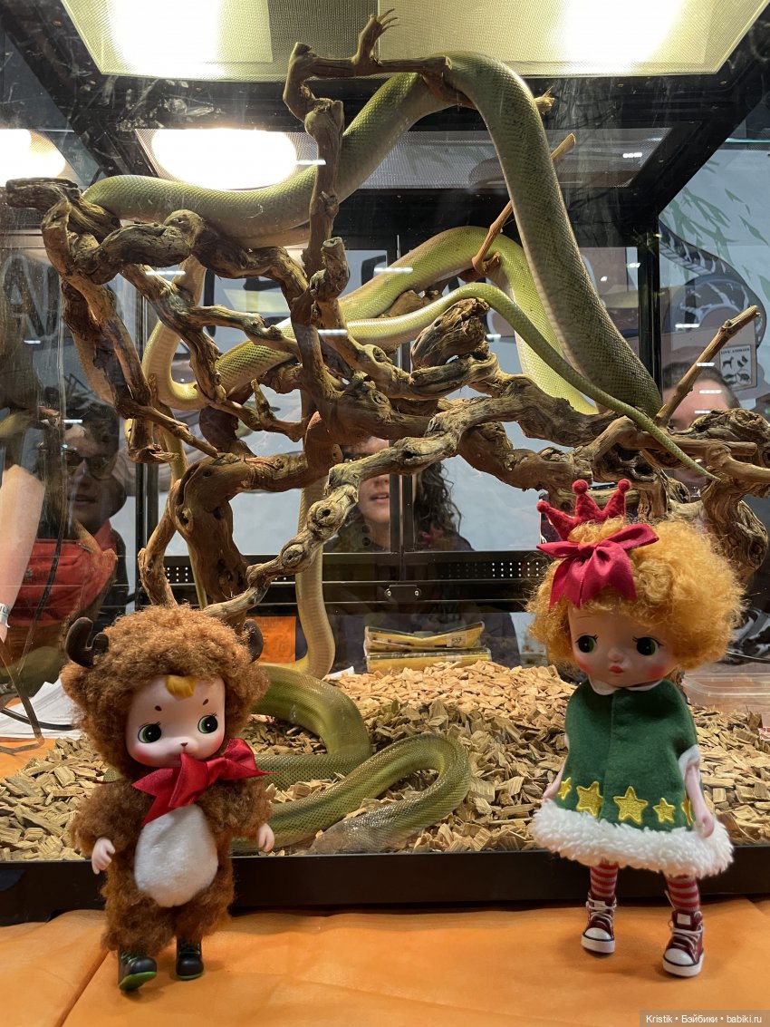 Люся на Рептилиуме — Куклы Holala (Холала) от Jenny Fairytown: Pipita