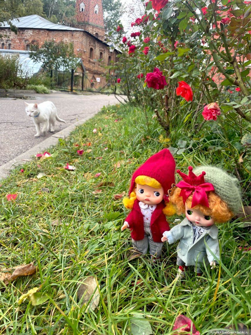 Куклы Holala (Холала) от Jenny Fairytown: Pipita