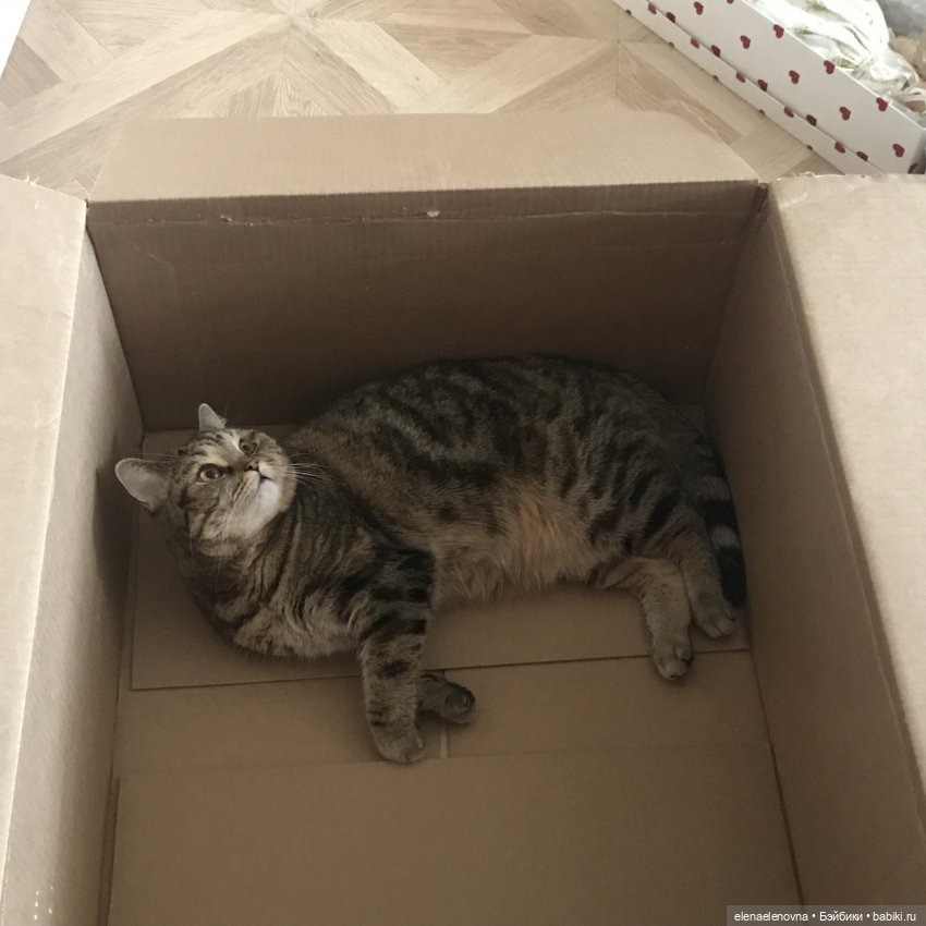 Распаковка посылки с eBay | Бэйбики Распаковка посылки с eBay (фото 10)