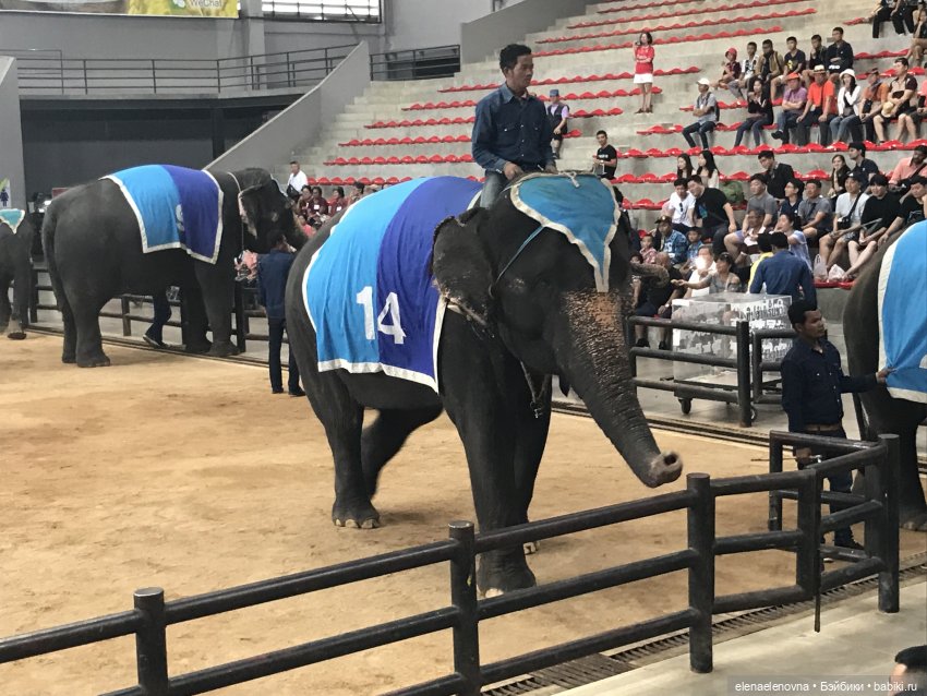 Путешествия Сары, Тайланд, ч.2