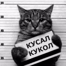 Для настроения про КУКОЛ 😂