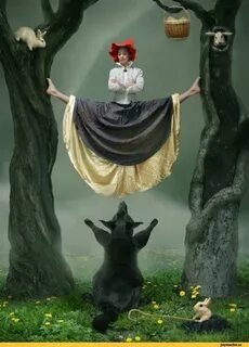 Красные Шапочки и Серый Волк 🐺