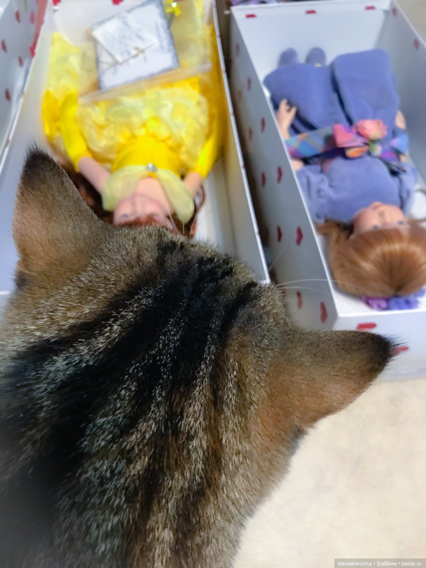 РА-СПА-КО-ВОЧ-КА!!! Часть 11 🤪