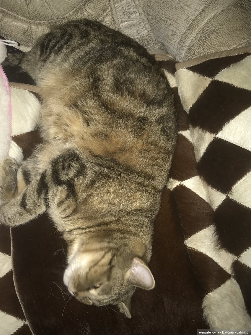 РА-СПА-КО-ВОЧ-КА!!! Часть 12 🤪