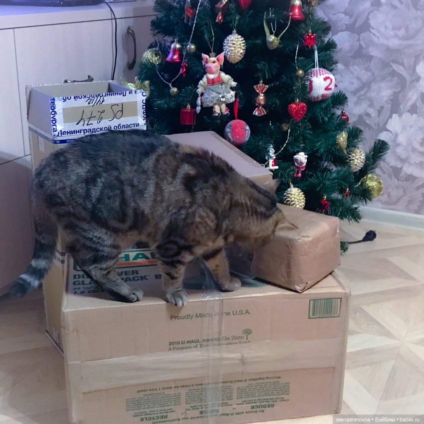 РА-СПА-КО-ВОЧ-КА!!! Часть 12 🤪 (фото 4)