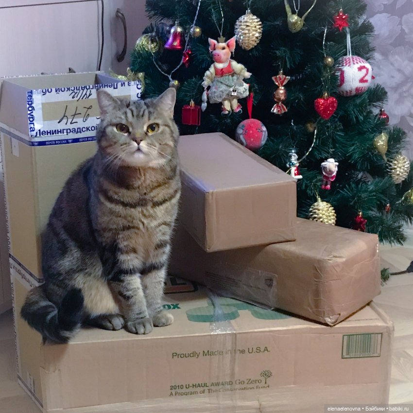 РА-СПА-КО-ВОЧ-КА!!! Часть 12 🤪 (фото 6)