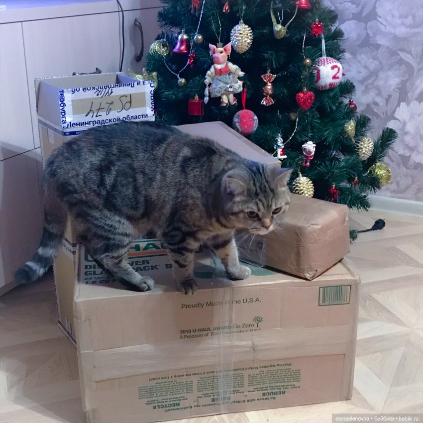 РА-СПА-КО-ВОЧ-КА!!! Часть 12 🤪 (фото 5)