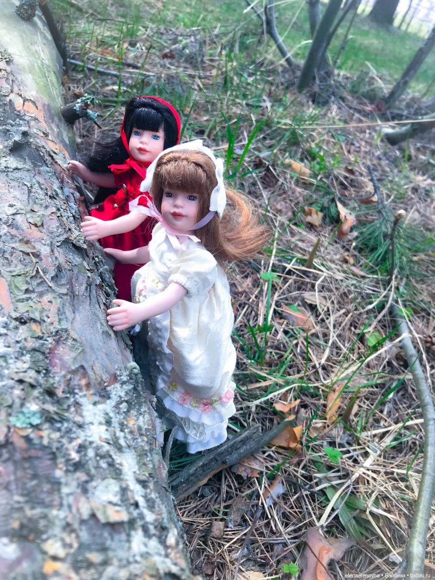 Розочка и Беляночка, Тоннер. Rose Red 🌹 and Snow White, Tonner