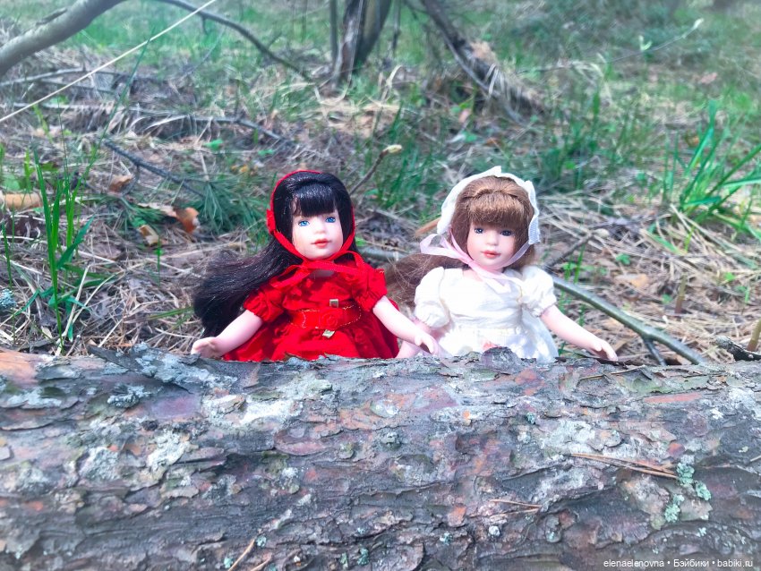 Розочка и Беляночка, Тоннер. Rose Red 🌹 and Snow White, Tonner