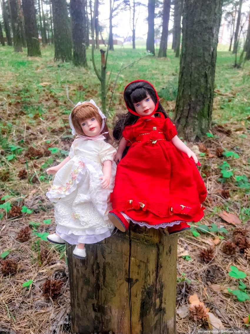 Розочка и Беляночка, Тоннер. Rose Red 🌹 and Snow White, Tonner (фото 7)