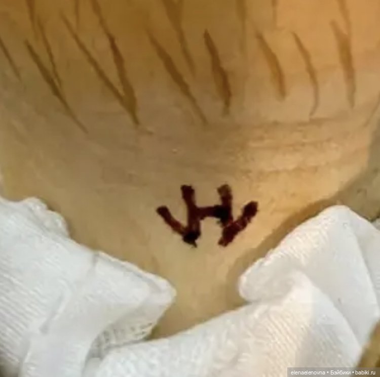 Хельга Вайх (Helga Weich) и ее деревянные куклы