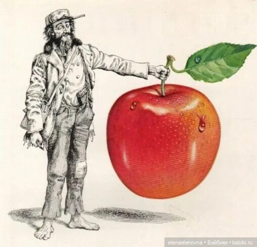 Angela Appleseed, пра-пра-правнучка Джонни - Яблочного Семечка 🍎