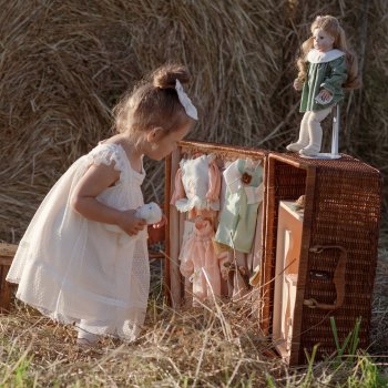 Тайна плетеного чемоданчика