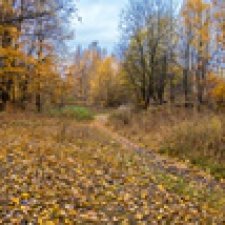 Осенняя прогулка