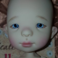 (Чоу) Chow от TaFidoll (Татьяна Филенко)