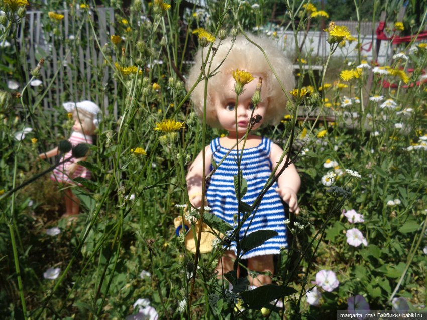 Еще немножко об ушедшем лете (фото 4)