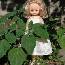 Кончается лето