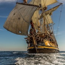 Мои мысли по истории