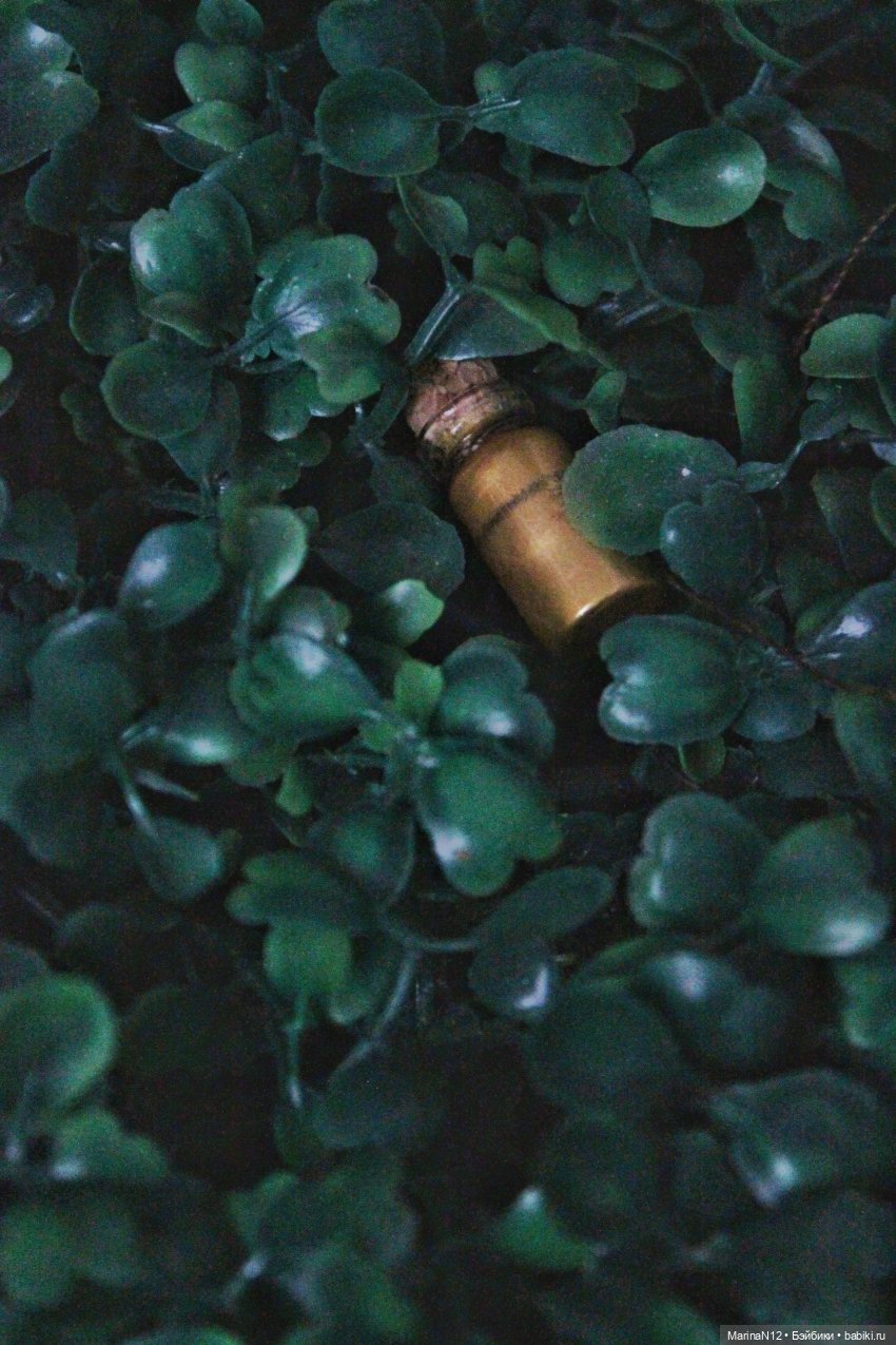 В поисках оборотня. Глава 12