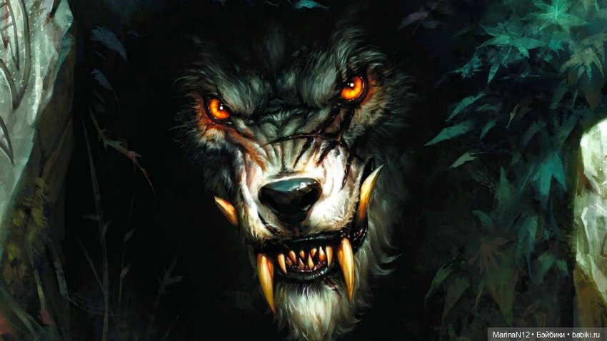 В поисках оборотня. Глава 12