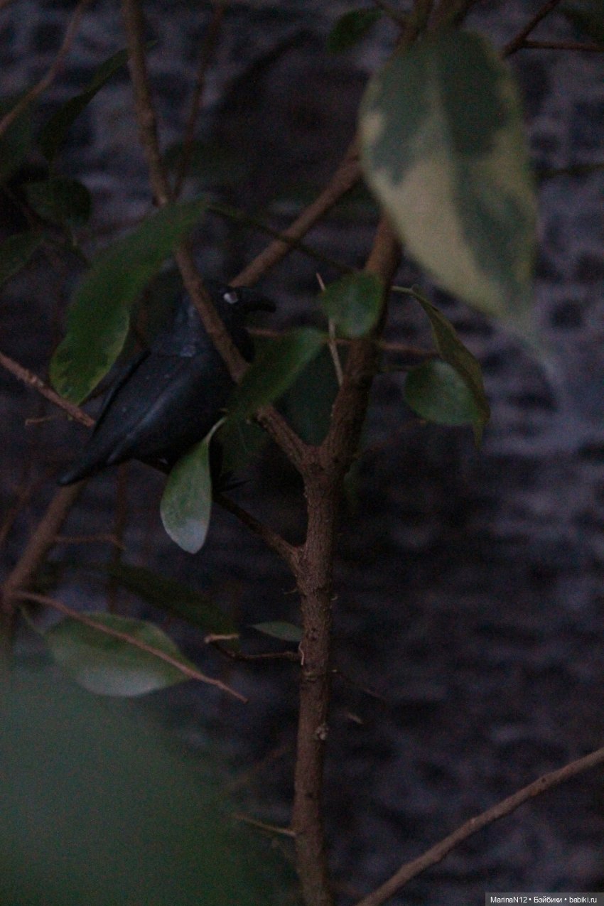 В поисках оборотня. Глава 17 (фото 2)