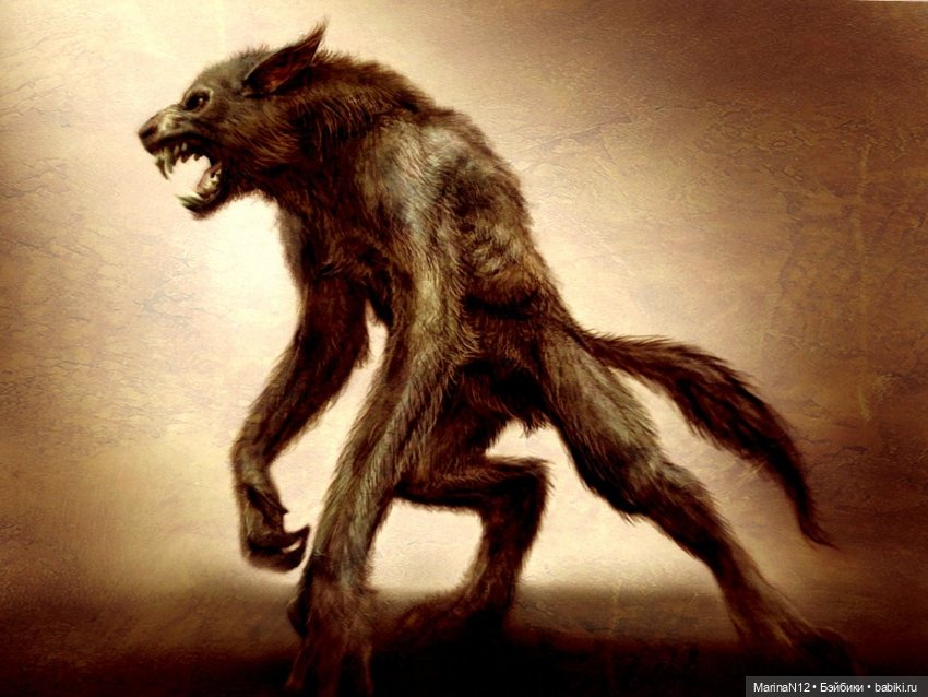 В поисках оборотня. Глава 22 (фото 7)