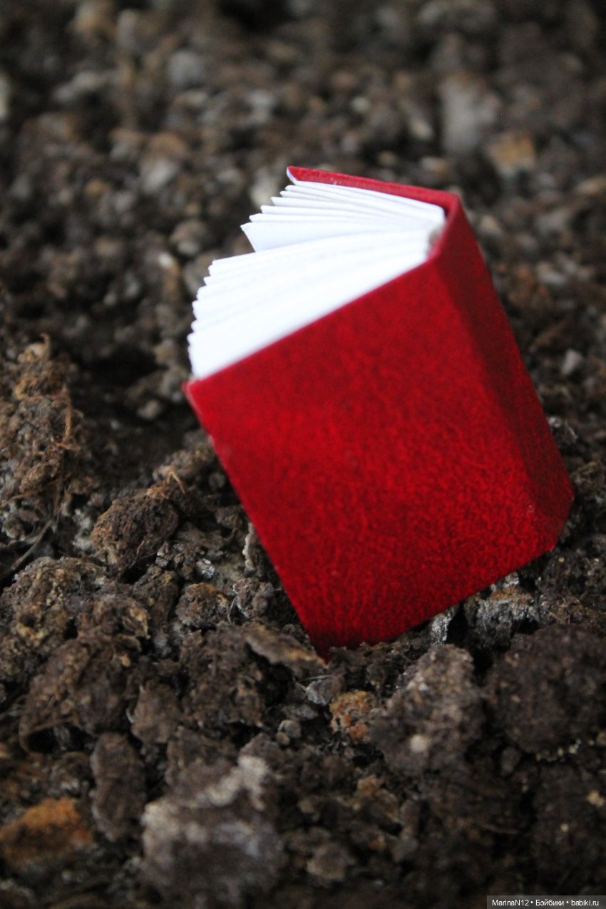 В поисках оборотня. Глава 24 (фото 8)