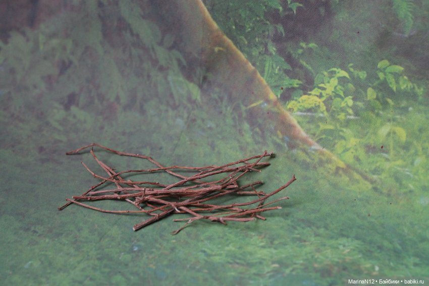 В поисках оборотня. Глава 24