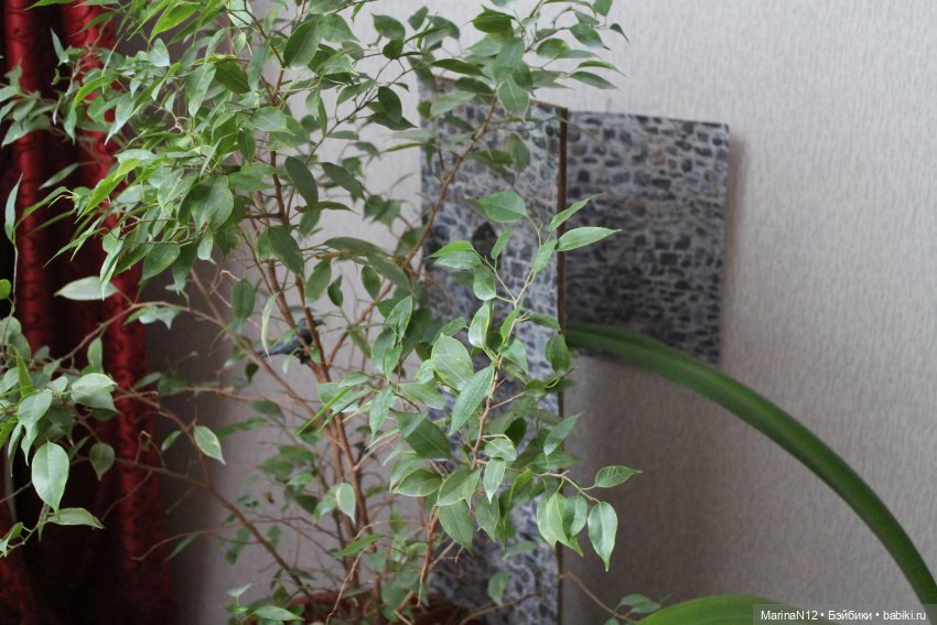 Бекстейджи. В рамках кинофестиваля DollCi Awards - 2021 (фото 3)