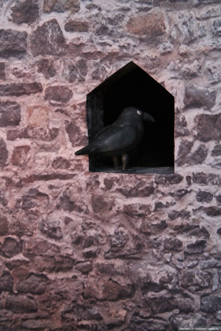 В поисках оборотня. Глава 25 (фото 8)