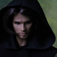 Содержание. В поисках оборотня