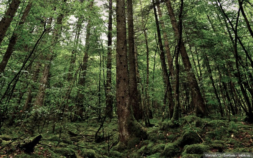 Найти выход. Глава 3 — Кукольные фотоистории и сериалы: комиксы (фото 7)