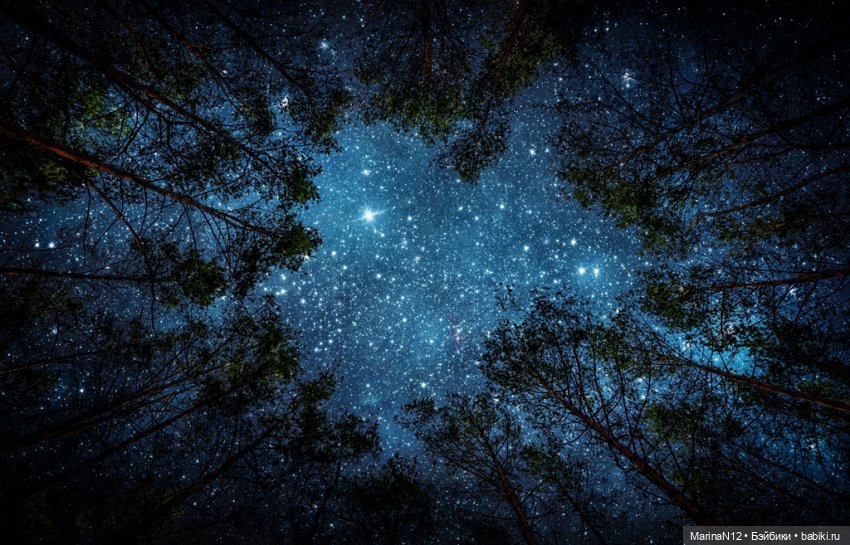 Найти выход. Глава 5 — Кукольные фотоистории и сериалы: комиксы (фото 9)