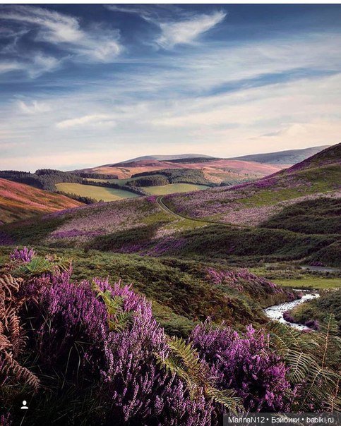 Долина вереска — Куклы Integrity Toys (Интегрити): Poppy Parker