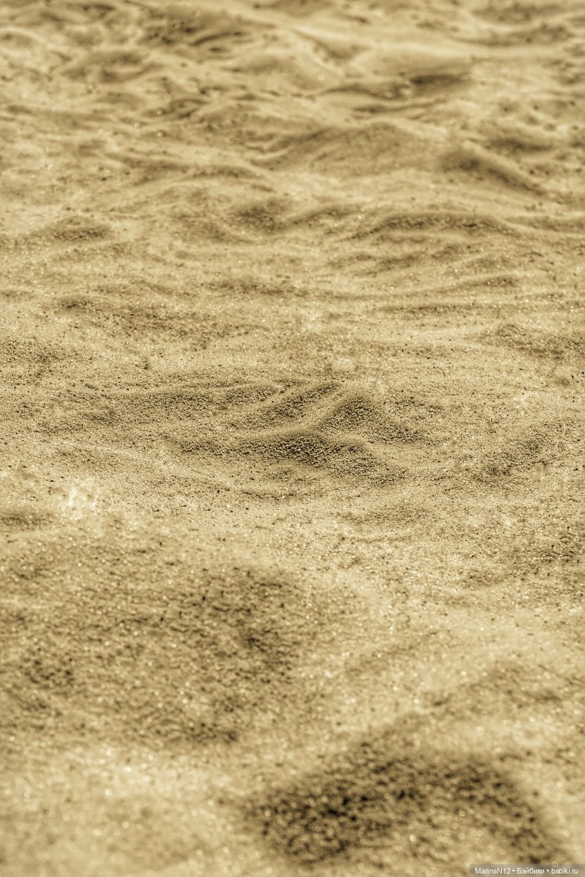 Куклы Integrity Toys (Интегрити): Poppy Parker (фото 2)