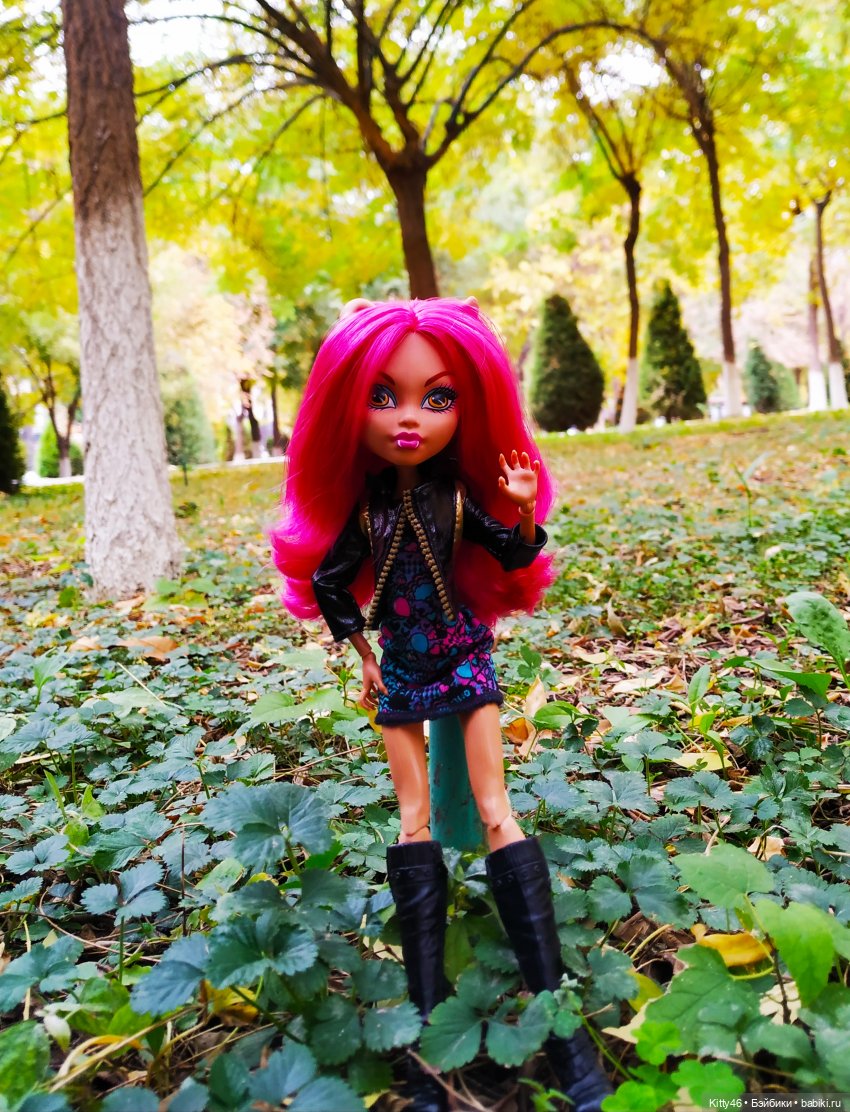 Золотая Осень — Куклы Monster High и Ever After High: G1