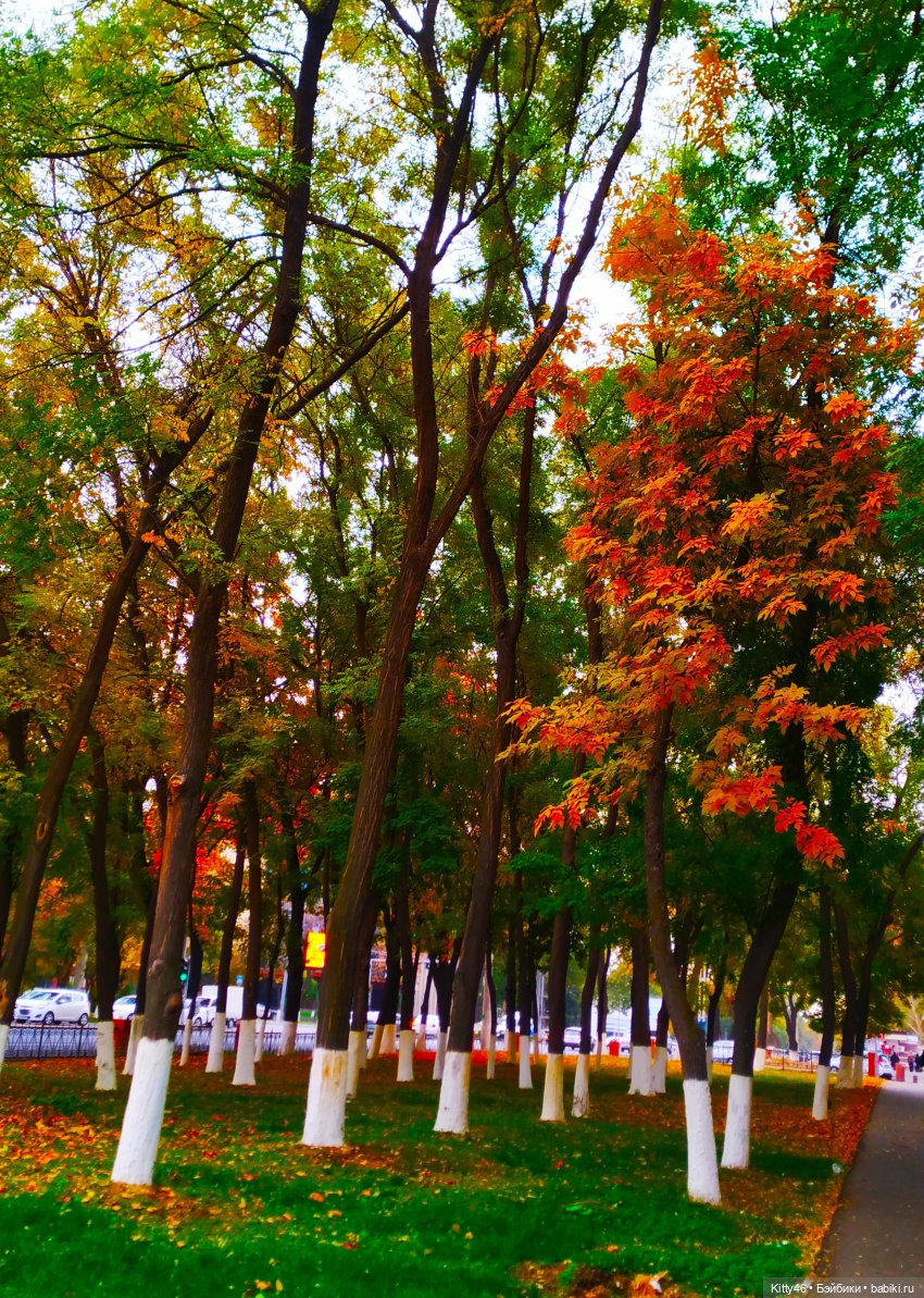 Золотая Осень — Куклы Monster High и Ever After High: G1