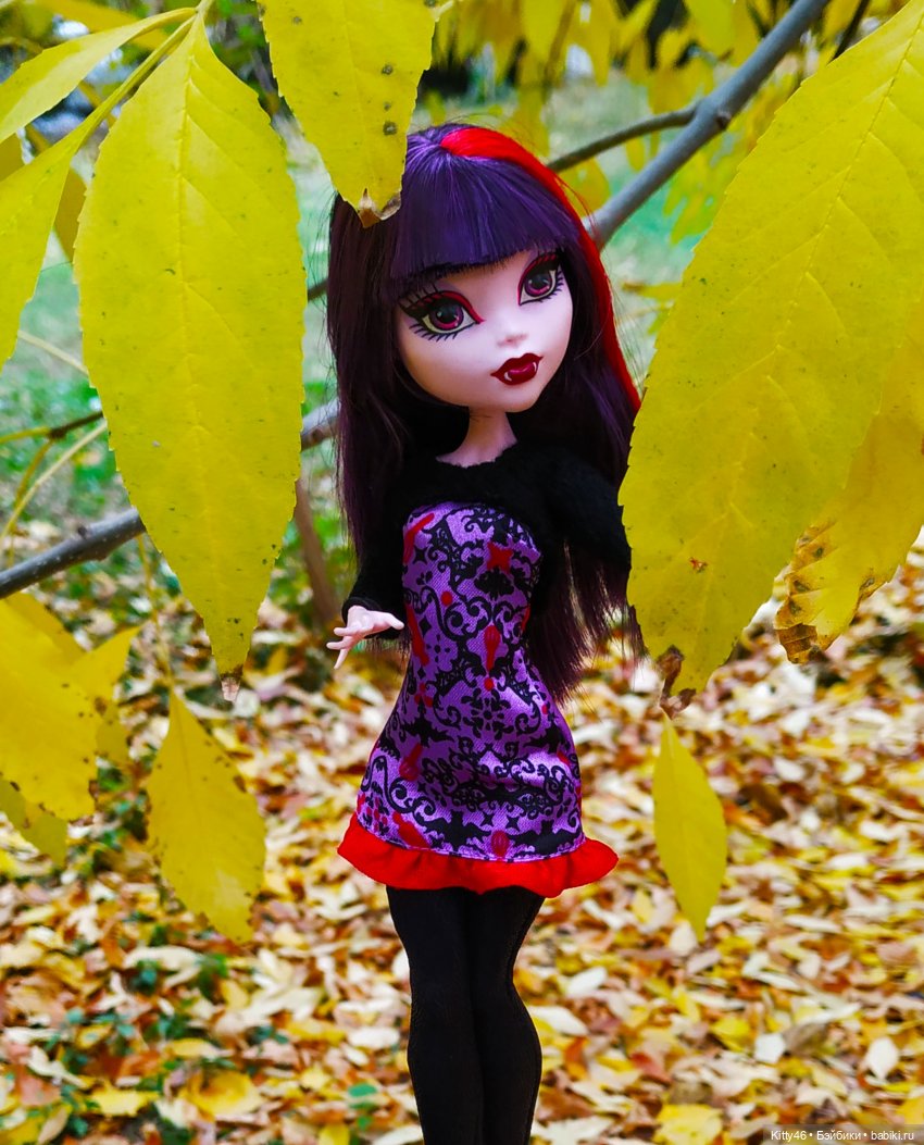 Золотая Осень — Куклы Monster High и Ever After High: G1 (фото 9)