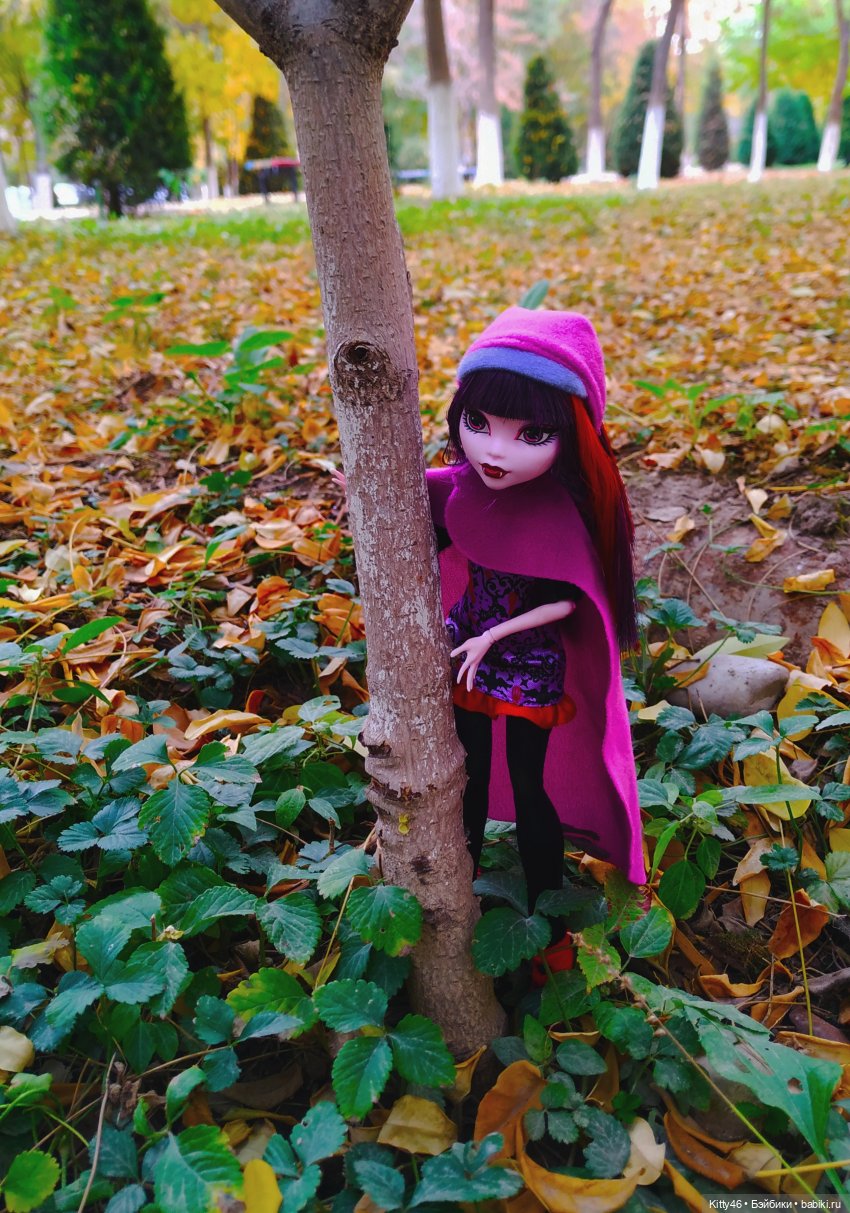 Золотая Осень — Куклы Monster High и Ever After High: G1