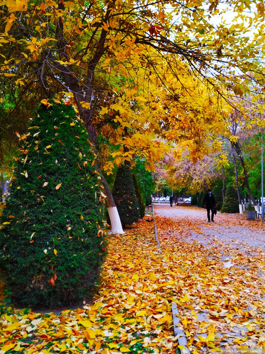 Золотая Осень — Куклы Monster High и Ever After High: G1